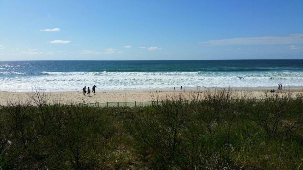 La Pinede Oceane,400m Des Plages Apartment *