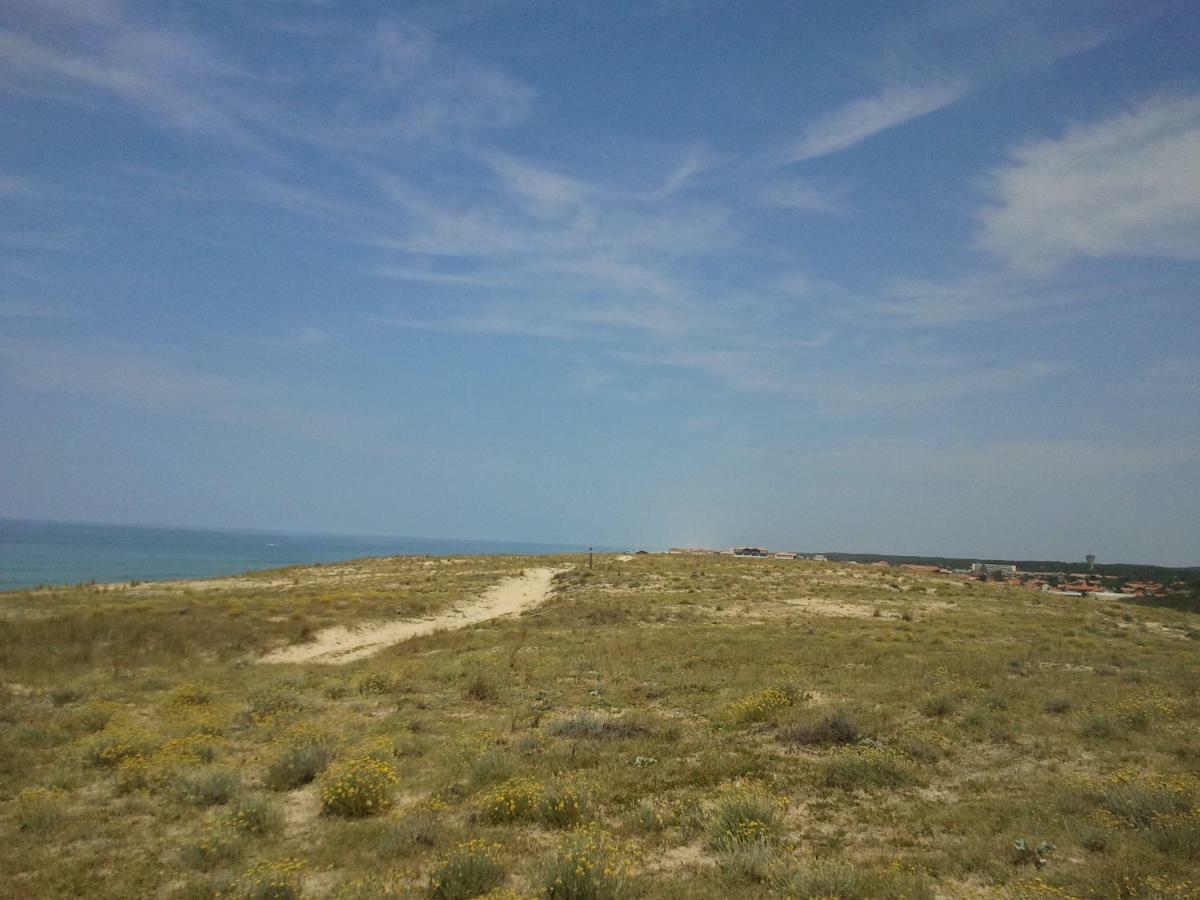 La Pinede Oceane,400m Des Plages Apartment *