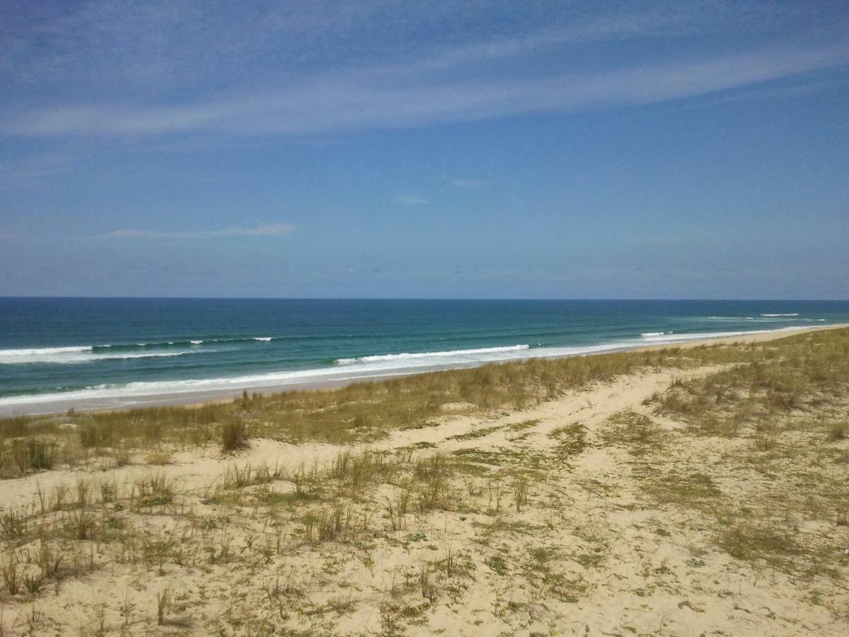 Apartment La Pinede Oceane,400m Des Plages *